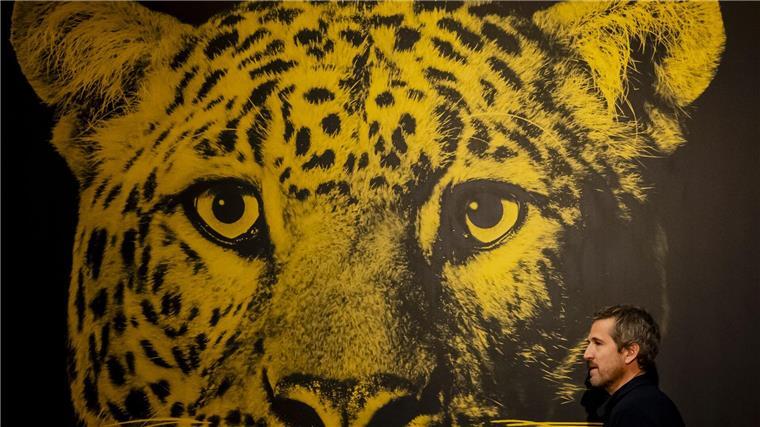 Zum 77. Mal findet in Locarno das Internationale Filmfestival statt.