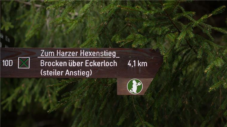 BUND: Harzer Hexenstieg sinnvoll für Wandertourismus „Zum Harzer Hexenstieg“ steht nahe Schierke (Sachsen-Anhalt) auf einem Schild.