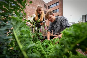 Zum Start der Klimawoche an der Hochschule Bremerhaven bepflanzen Studenten wie Lina Becker und Aaron Cordes zwei Hochbeete.
