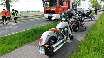 Zwei Enten haben einen schweren Verkehrsunfall auf der B495 verursacht.