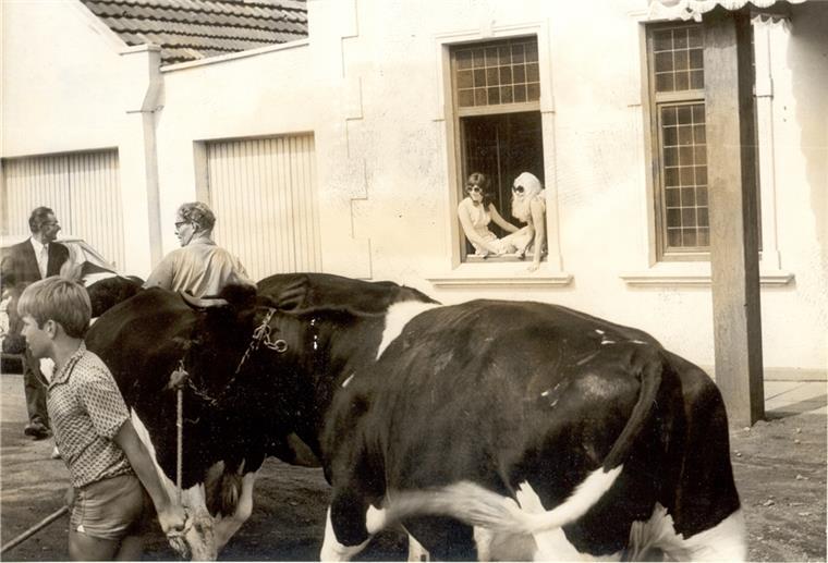 Zwei junge Frauen im Fenster, Kühe auf der Straße: Der geplante Fernsehbeitrag über das Haus Amanda sollte wohl den Eindruck erwecken, dass es in Einswarden 1971 ländlich-sittlich zuging.