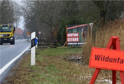 Zwischen Iffens und dem Beckmannsfelder Weg warnen Schilder vor Wildunfällen. Hier sind im Dezember zwei Rehe vor einen Lastwagen gelaufen.