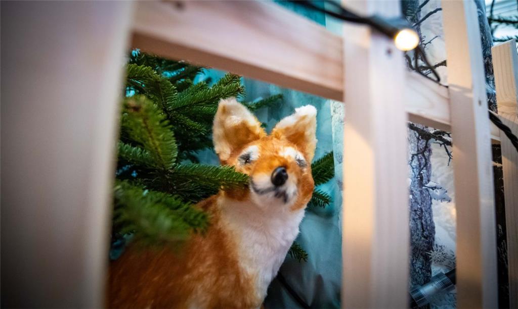 Zwischen Tannengrün und Lichterketten versteckt sich der Fuchs. Foto: Hartmann