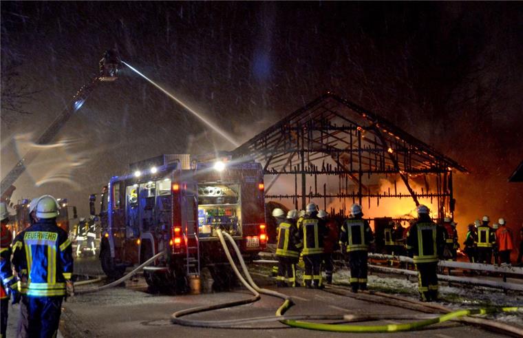 Scheune brennt im Kreis Stade: Zwölf Rinder verenden in den Flammen Zwölf Rinder sind am Sonntagabend bei einem Brand in Stade verendet.